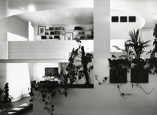 12976734_1004412506272496_4099351085209420734_o (1).jpgのサムネール画像